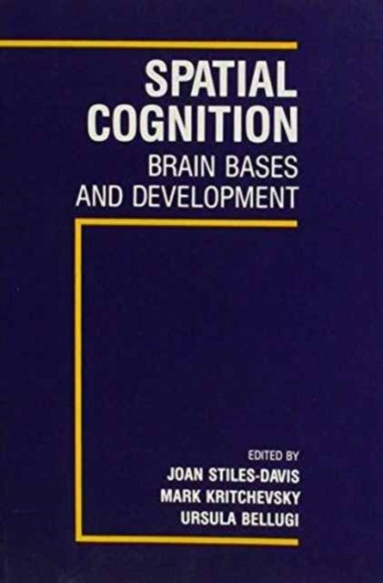 Spatial Cognition - Brain Bases and Development