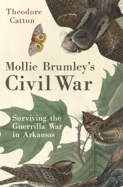 Mollie Brumley's Civil War - Surviving the Guerrilla War in Arkansas