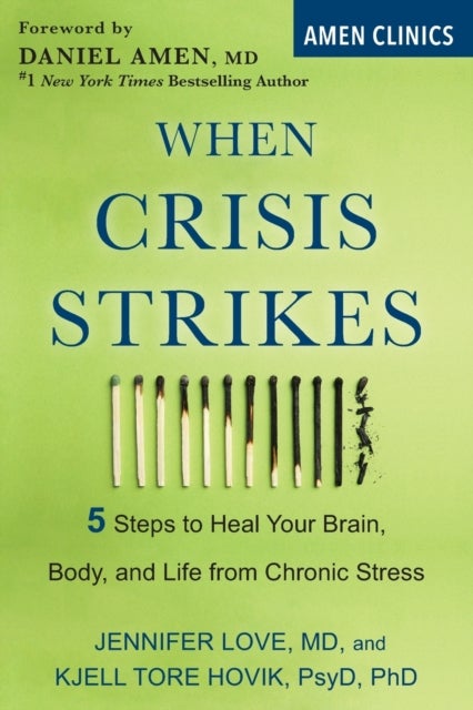 When Crisis Strikes - 5 Steps to Heal Your Brain, Body, and Life from Chronic Stress