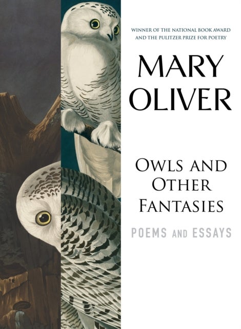 Owls and Other Fantasies - Poems and Essays