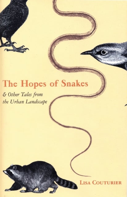 The Hopes of Snakes - And Other Tales from the Urban Landscape