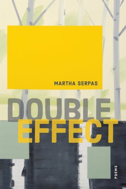 Double Effect - Poems
