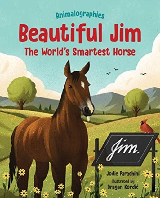 Beautiful Jim - The World's Smartest Horse