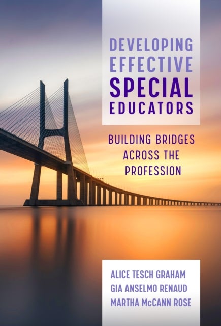 Developing Effective Special Educators - Building Bridges Across the Profession