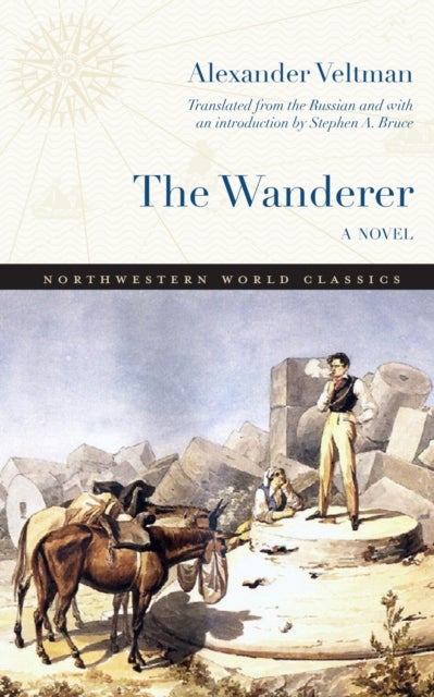 The Wanderer - A Novel