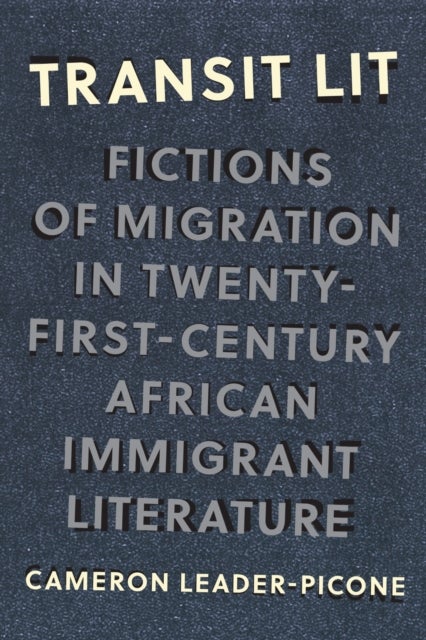 Transit Lit - Fictions of Migration in Twenty-First-Century African Immigrant Literature