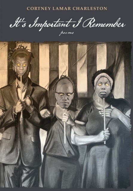 It's Important I Remember - Poems