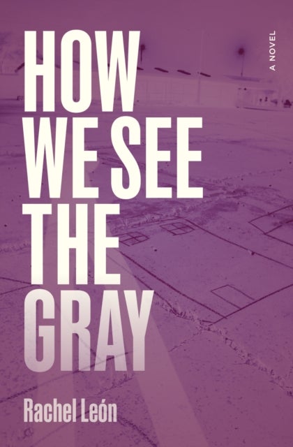 How We See the Gray - A Novel