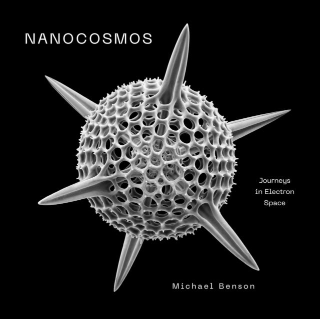 Nanocosmos - Journeys in Electron Space
