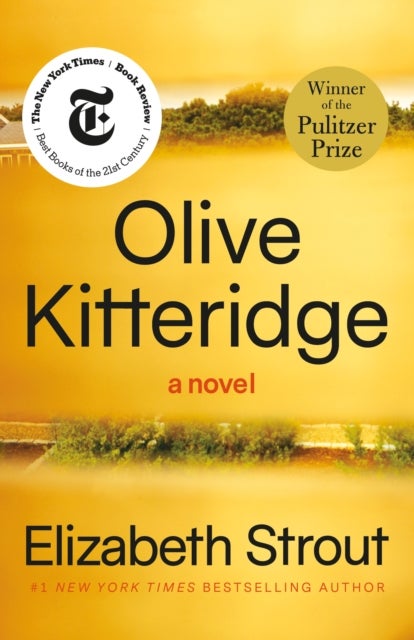 Olive Kitteridge - Fiction