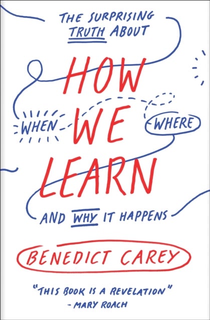 How We Learn - The Surprising Truth About When, Where, and Why It Happens