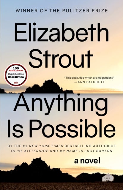 Anything Is Possible - A Novel
