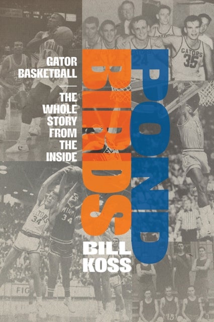 Pond Birds - Gator Basketball-the Whole Story from the Inside