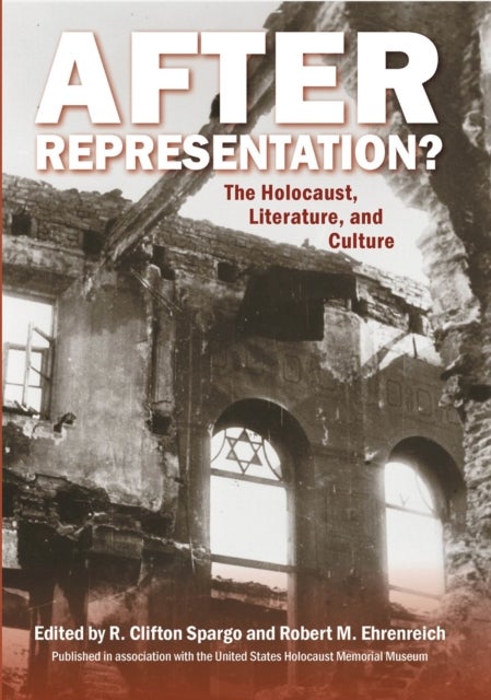 After Representation? - The Holocaust, Literature, and Culture