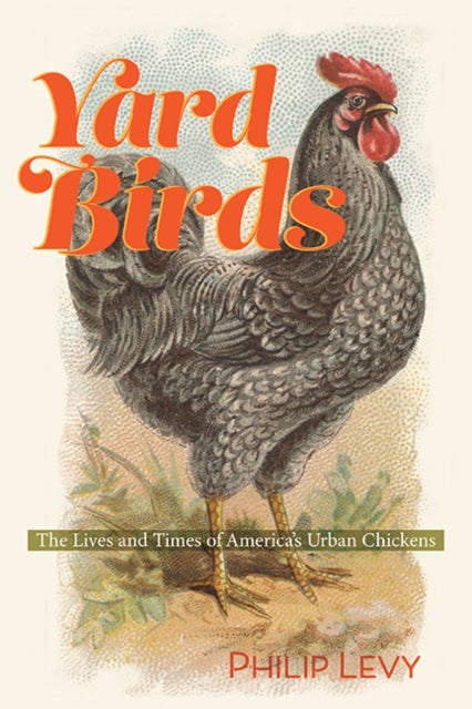 Yard Birds - The Lives and Times of America’s Urban Chickens