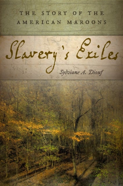 Slavery's Exiles - The Story of the American Maroons