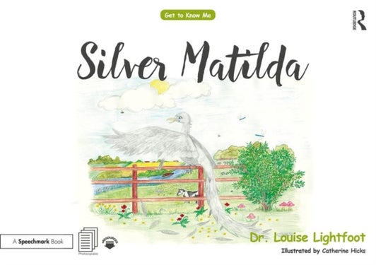 Silver Matilda - Get to Know Me: Depression
