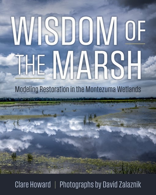 Wisdom of the Marsh - Modeling Restoration in the Montezuma Wetlands