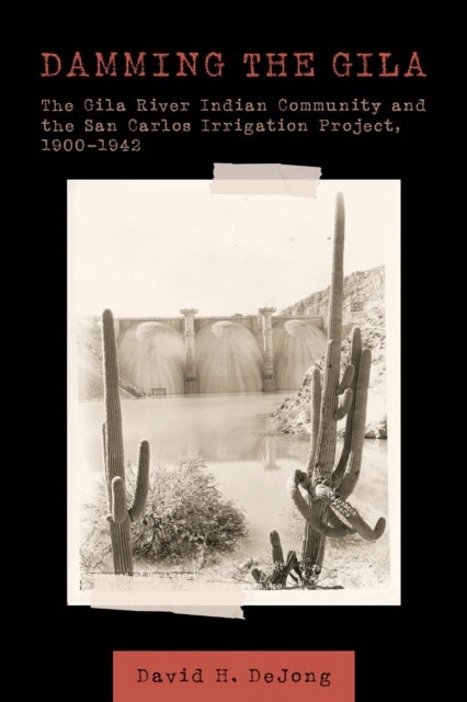 Damming the Gila - The Gila River Indian Community and the San Carlos Irrigation Project, 1900-1942
