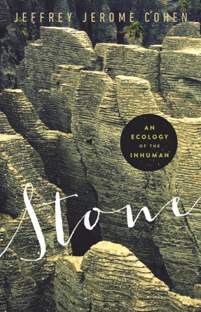 Stone - An Ecology of the Inhuman