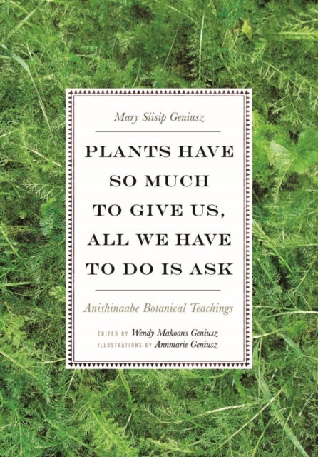 Plants Have So Much to Give Us, All We Have to Do Is Ask - Anishinaabe Botanical Teachings