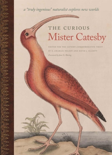 The Curious Mister Catesby - A "Truly Ingenious" Naturalist Explores New Worlds