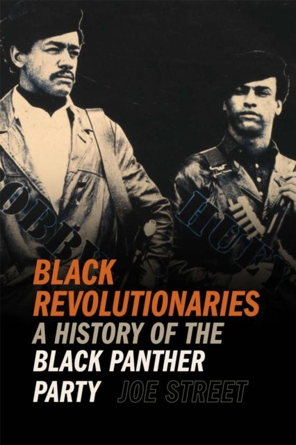 Black Revolutionaries - A History of the Black Panther Party