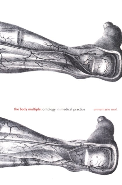 The Body Multiple - Ontology in Medical Practice