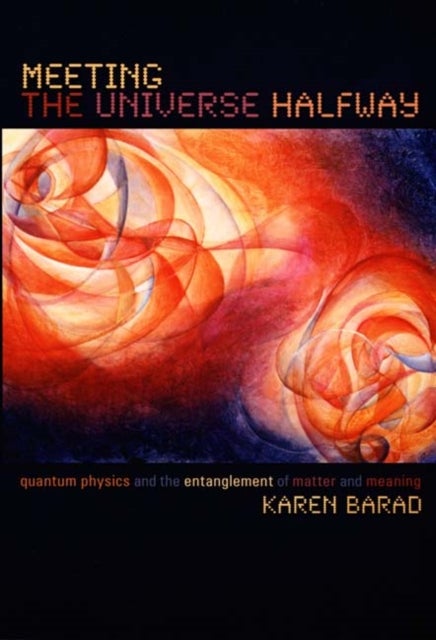 Meeting the Universe Halfway - Quantum Physics and the Entanglement of Matter and Meaning