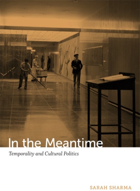In the Meantime - Temporality and Cultural Politics