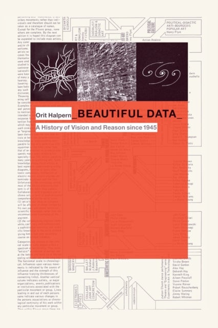 Beautiful Data - A History of Vision and Reason Since 1945