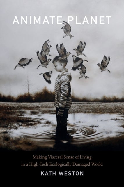 Animate Planet - Making Visceral Sense of Living in a High-Tech Ecologically Damaged World