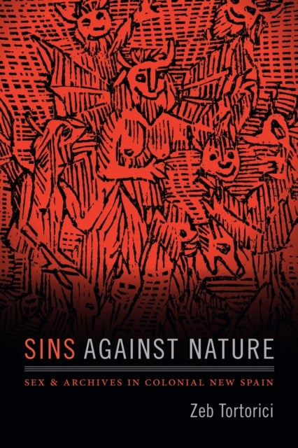 Sins Against Nature - Sex and Archives in Colonial New Spain