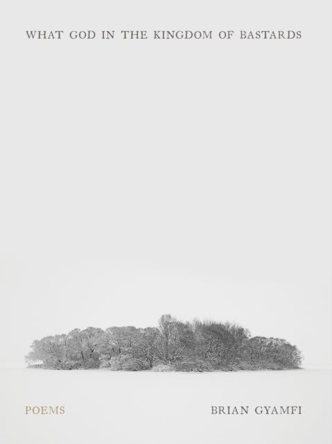 What God in the Kingdom of Bastards - Poems