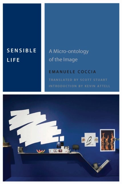 Sensible Life - A Micro-ontology of the Image