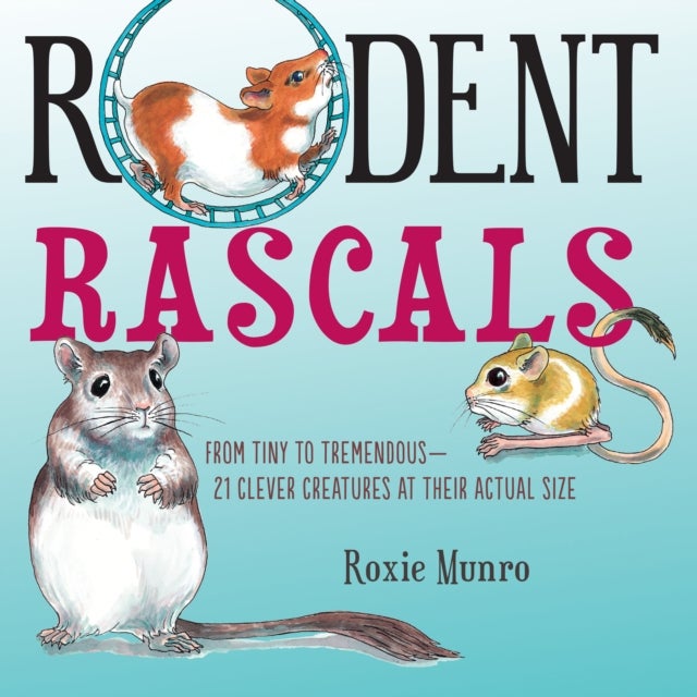 Rodent Rascals - Clever Creatures at their Actual Size