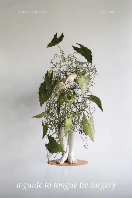 A Guide to Tongue Tie Surgery - Poems