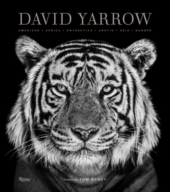David Yarrow Photography - Americas Africa Antarctica Arctic Asia Europe