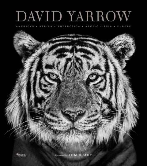 David Yarrow Photography - Americas Africa Antarctica Arctic Asia Europe