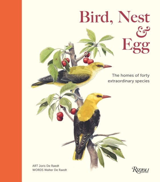 Bird, Nest & Egg - The Homes of Forty Extraordinary Species