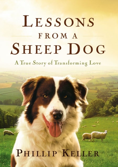 Lessons from a Sheep Dog - A True Story of Transforming Love