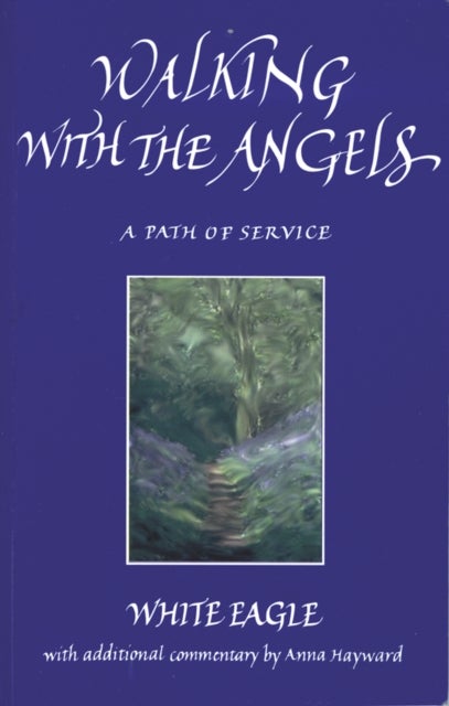 Walking with the Angels - A Path of Service