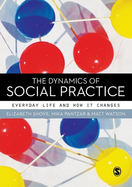 The Dynamics of Social Practice - Everyday Life and how it Changes