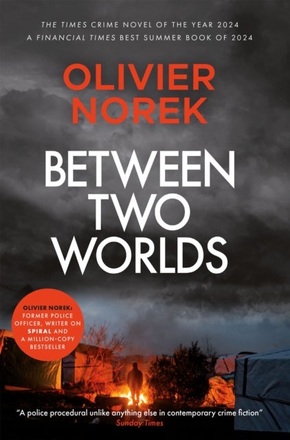Between Two Worlds - THE TIMES Best Crime Novel of the Year 2024