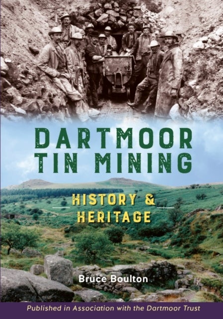 Dartmoor Tin Mining - History and Heritage