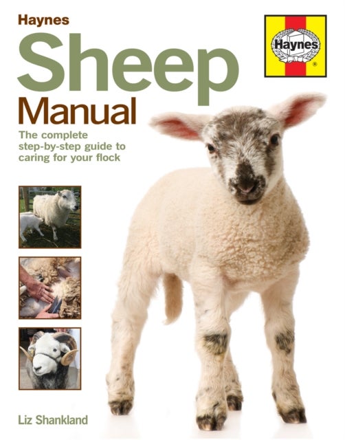 Sheep Manual - The complete step-by-step guide to caring for your flock