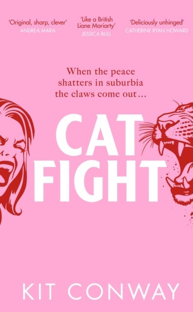 Cat Fight