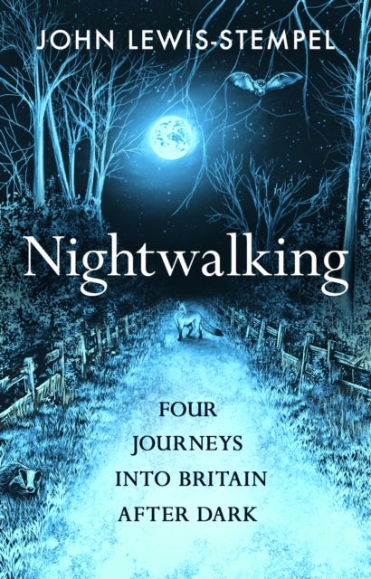 Nightwalking - Four Journeys into Britain After Dark