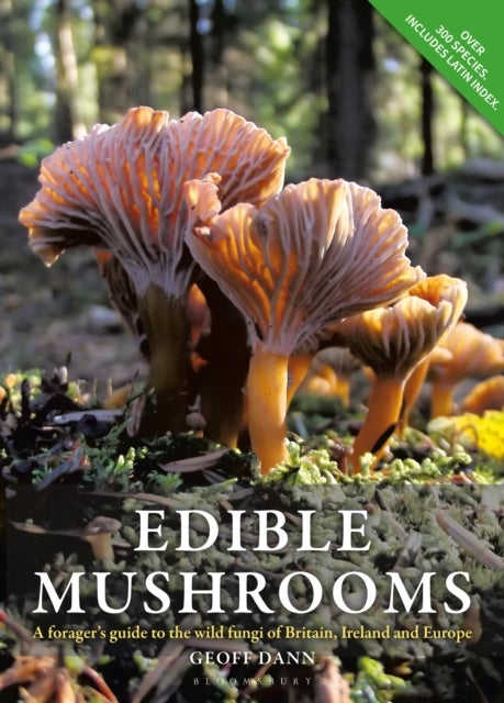 Edible Mushrooms - A forager's guide to the wild fungi of Britain, Ireland and Europe