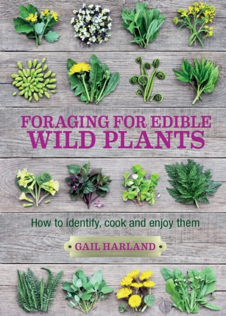 Foraging for Edible Wild Plants - How to identify, cook and enjoy them